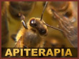 Apiterapia