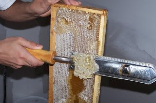 Honey Frame